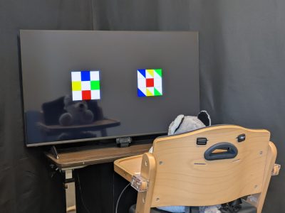 A stuffed husky in a highchair looking at two images on a TV screen.